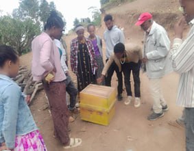 የንብ እርባታ ስልጠና